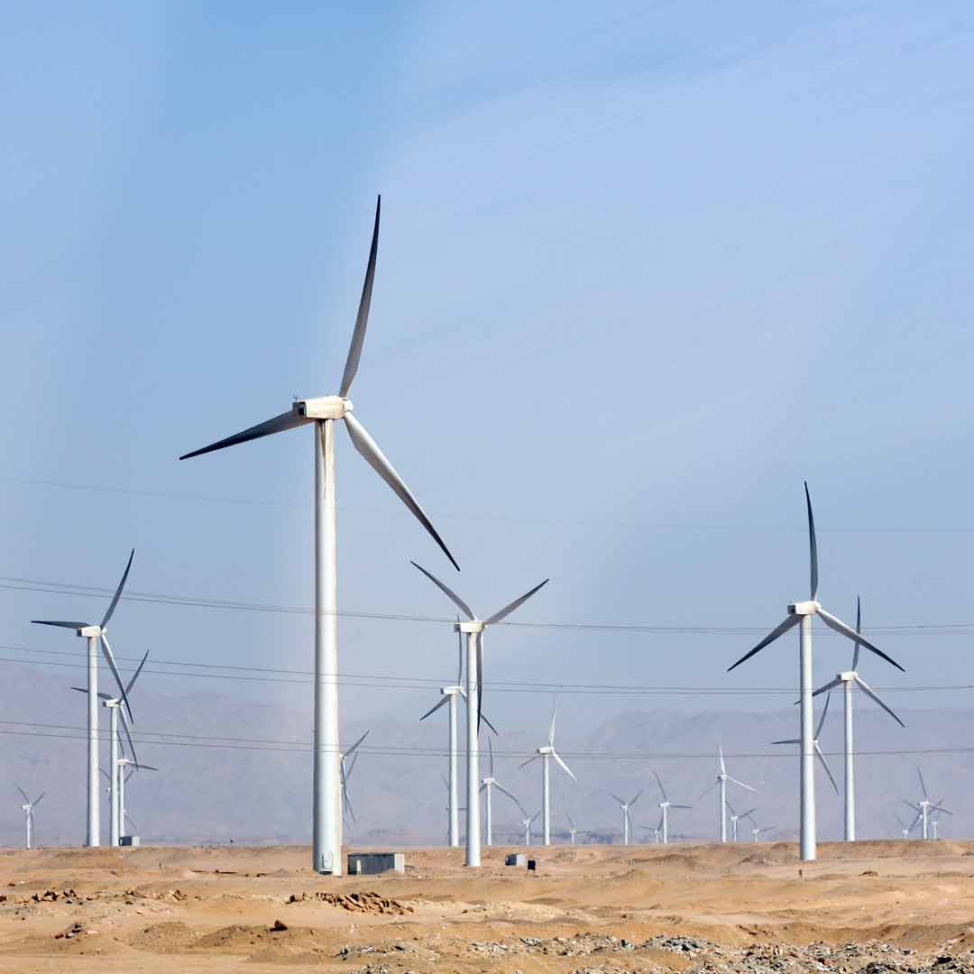 Electric wind turbine generators in the desert in Egypt. Photo: Nemar/iStock