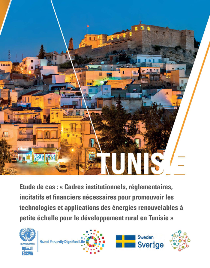 Cadres institutionnels, réglementaires, incitatifs et financiers nécessaires pour promouvoir les technologies et applications des énergies renouvelables à petite échelle pour le développement rural en Tunisie