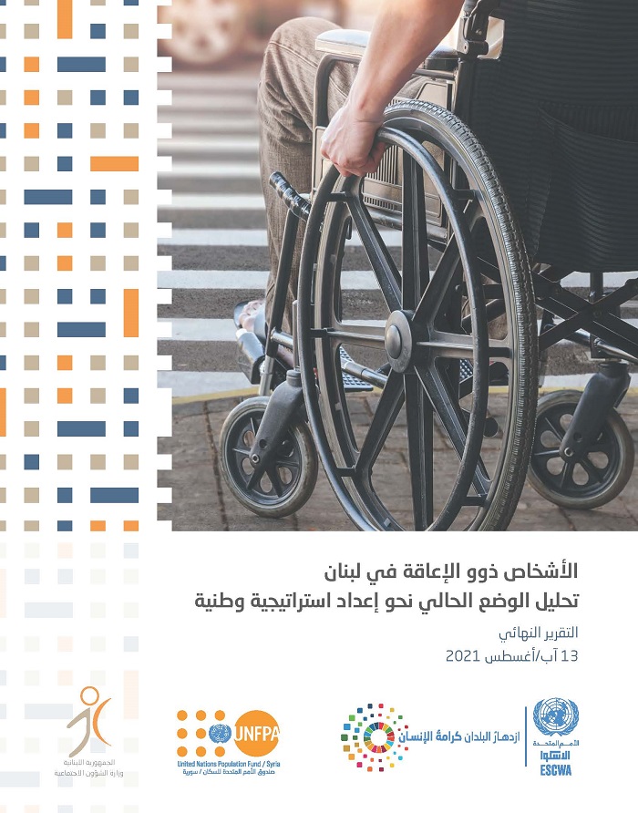 Persons with disabilities in Lebanon: a situational analysis to develop a national strategy