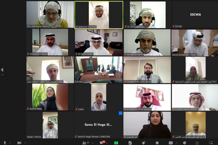 collage of pictures of participants in the webinar