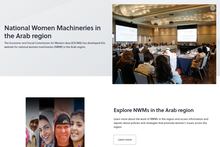 “National women’s machineries (NWM) in the Arab region” web platform